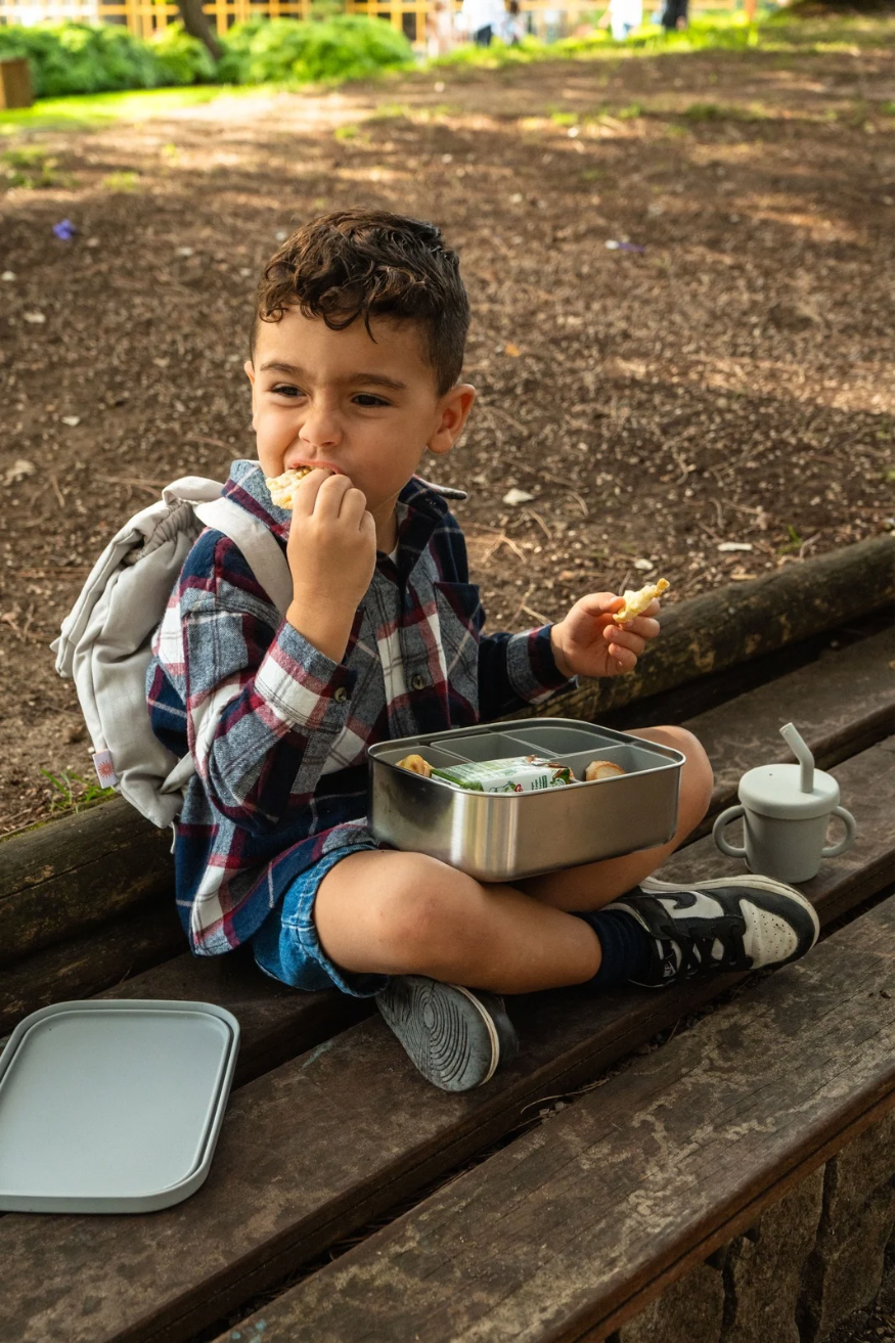 Gray EmiBox - Emilio- 10.0