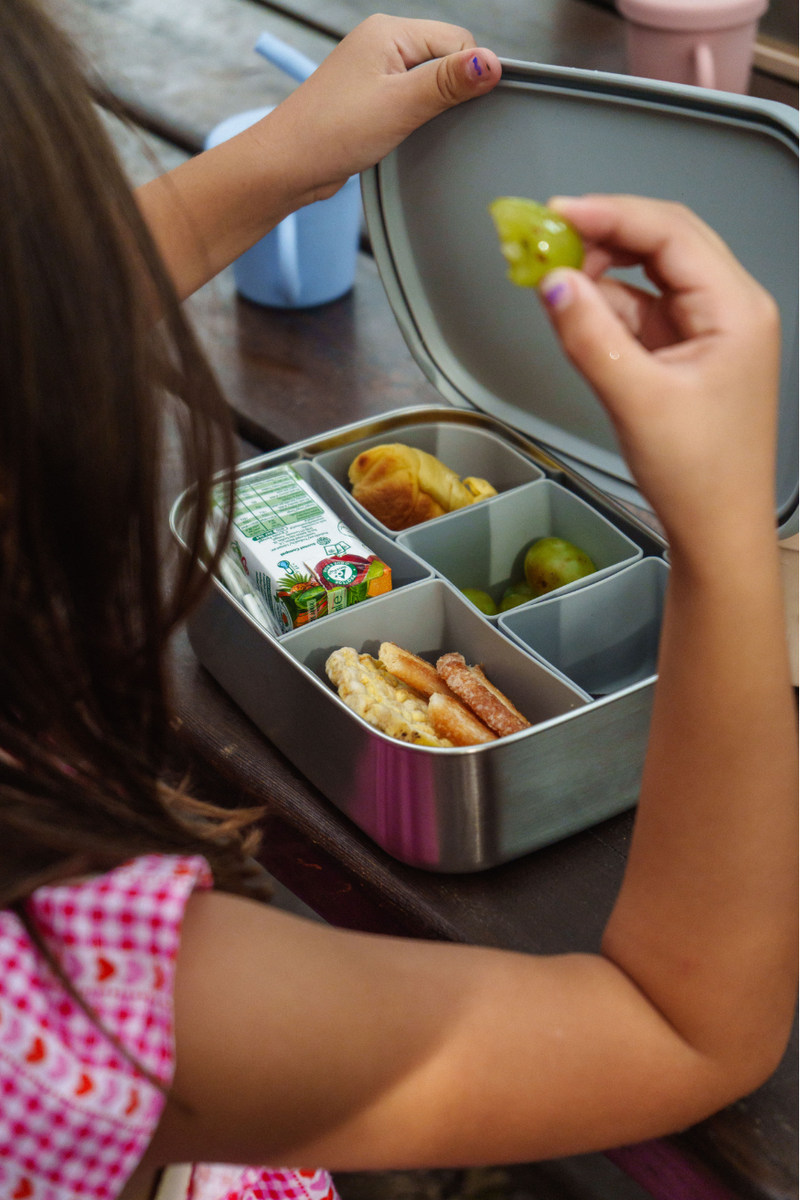 Pink EmiBox - Emilio- 10.0